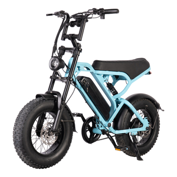 Home 55 Deren V20 Mini Fat Tire E-Bike, 250W 48V, 16" Hybrid Off-Road Bike