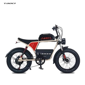 Home 14 20 Inch Fat Tire 1500W Electric Bike Off-Road