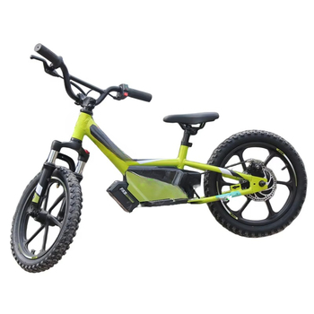 Home 58 16"20" Electric Balance Bike, 350W600W, Removable Battery