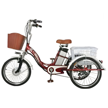 Home 21 3-Wheel Family Electric Bike – 48V 350W Cargo Tricycle for Seniors