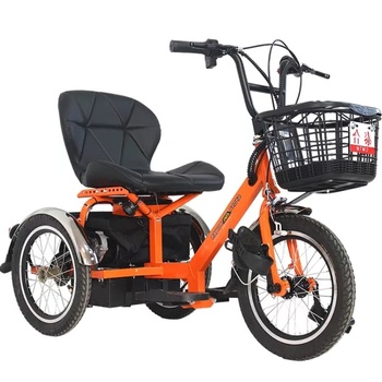 Home 22 24V 250W Three-Wheel Electric Bicycle – Lightweight Mobility Scooter for Seniors & Disabled with Cargo Baskets